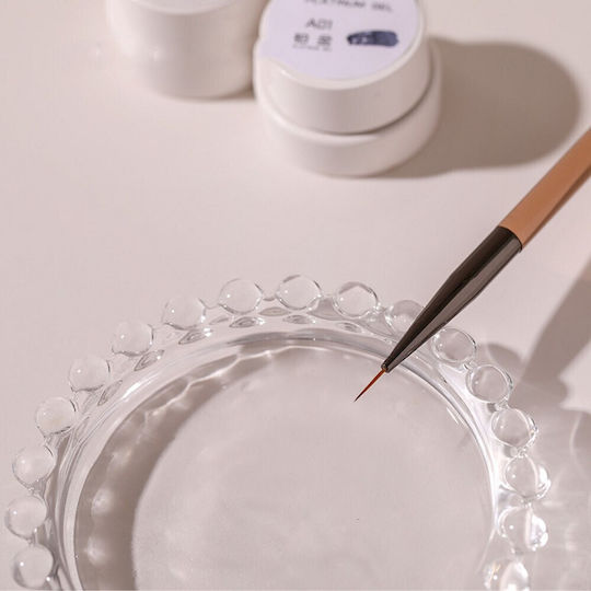 Ακρυλική Multipurpose Παλέτα Ανάμειξης Clear