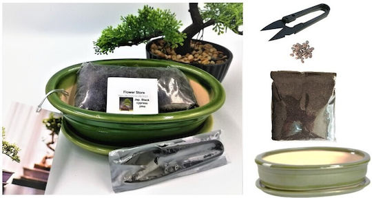 Plant Soil Bonsai Starter Gift Set – Japanese 0.2kg 87133497429