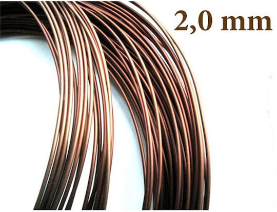 Σύρμα Καθοδήγηση Μπονσάι 2 Mm – 5 Μέτρα