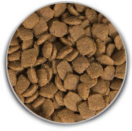 Acana Adult Large Breed Recipe 11.4кг Суха Храна без Зърнени храни за Възрастни Кучета от Големи Породи с Пилешко и Риба