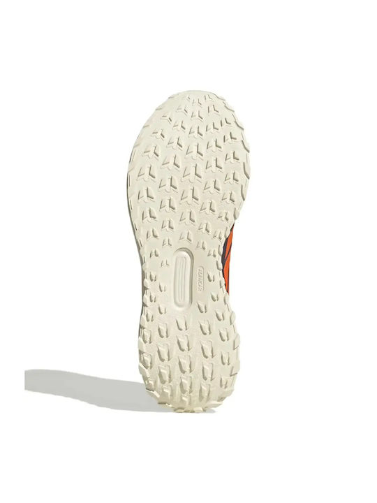 Runfalcon 5 Tr Sport Shoes Running Blue