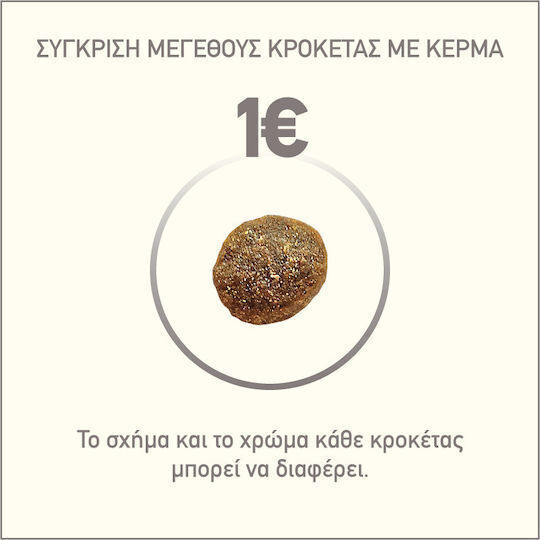 Acana Adult Small Breed 2kg Ξηρά Τροφή χωρίς Σιτηρά για Ενήλικους Σκύλους Μικρόσωμων Φυλών με Κοτόπουλο
