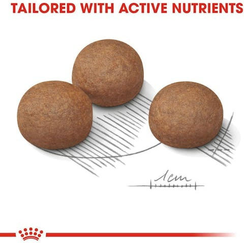 Royal Canin Digestive Care Maxi 3kg Dry Food for Adult Large Breed Dogs with Poultry and Rice