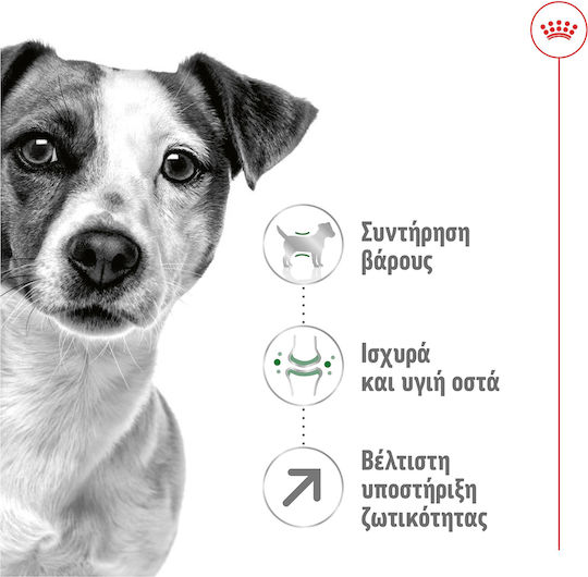Royal Canin Mini Adult 8+ 8kg Dry Food for Adult Small Breed Dogs with Poultry and Rice