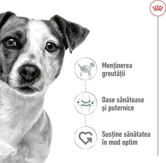Royal Canin Mini Adult 8kg Dry Food for Adult Small Breed Dogs with Poultry