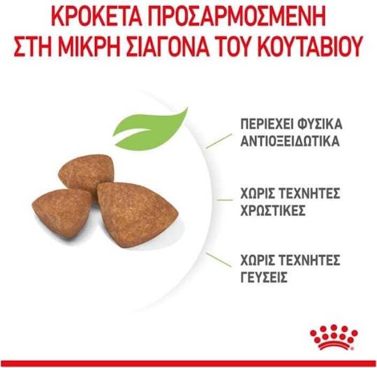 Royal Canin Puppy X-Small 0.50kg Ξηρά Τροφή για Κουτάβια Μικρόσωμων Φυλών με Πουλερικά και Ρύζι