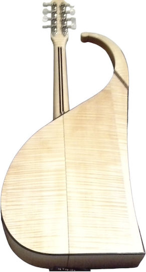 Acoustic Mandolin