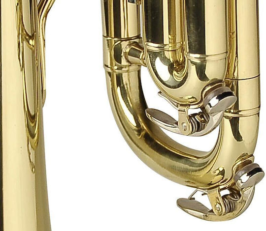 Belcanto BX 95