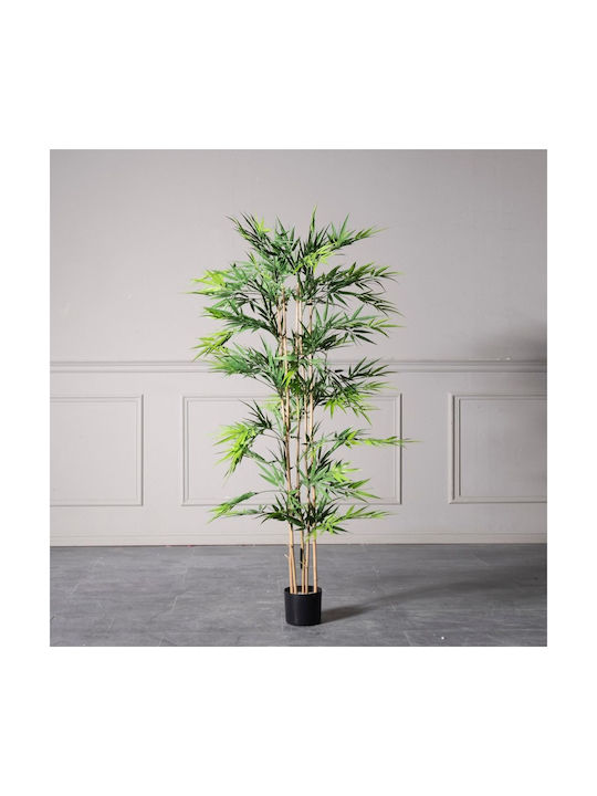 Supergreens UV Copac Artificial Bambus Lucky Verde 160 cm