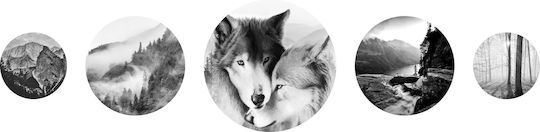 Decowalls Петкратен Панел на Платнен 40x40см