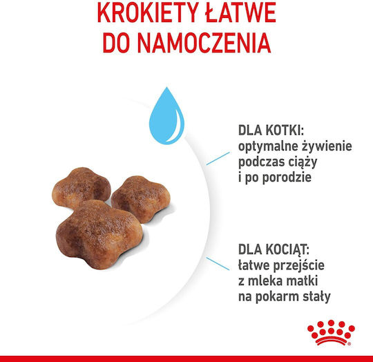 Royal Canin Mother / Babycat Cat Dry Food with Poultry 4kg