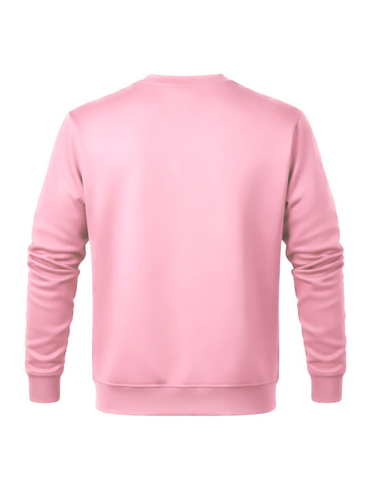 Panda Clothing