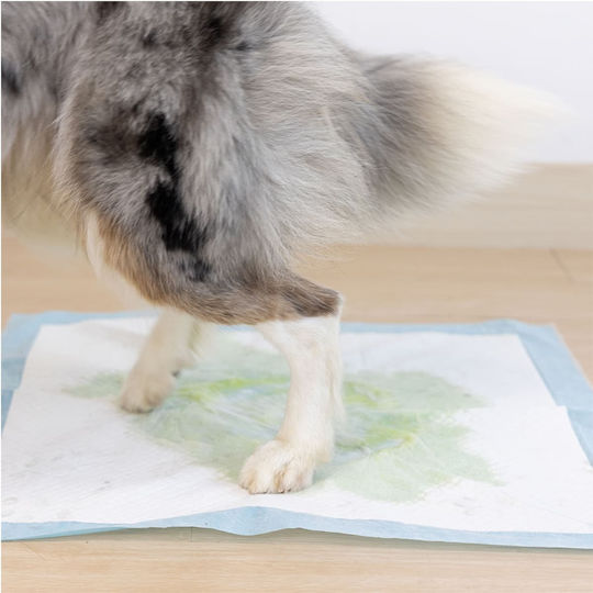 Uniq Hundewindeln 10Stück