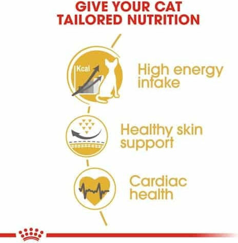 Royal Canin Sphynx Adult Dry Food for Adult Cats with Poultry / Rice 2kg