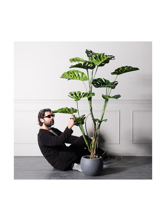 Supergreens Künstlicher Monstera Baum Grün 150 cm
