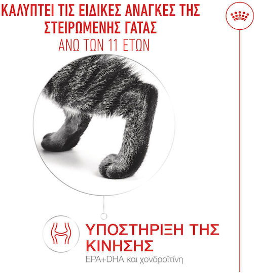 Royal Canin Ageing 11+ Sterilised Trockenfutter für ältere sterilisierte Katzen mit Geflügel 2kg