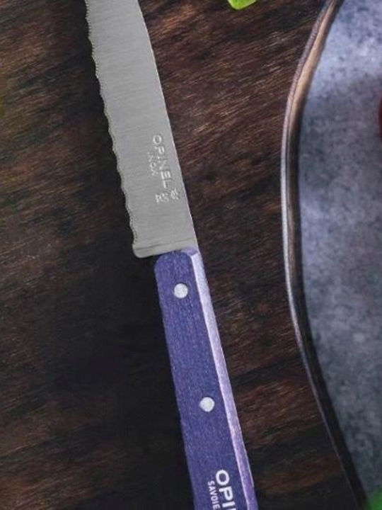 Opinel 113 Knife General Use from Stainless Steel