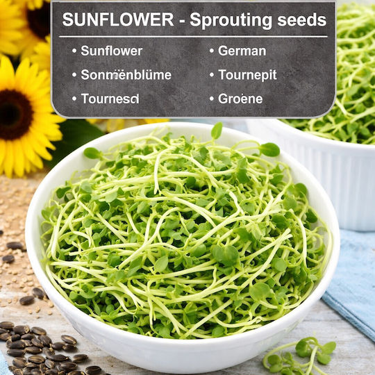 Σπόροι Φύτρες Ηλιόσπορου “sunfolwer Sprouts” – 20γρ Σπόροι