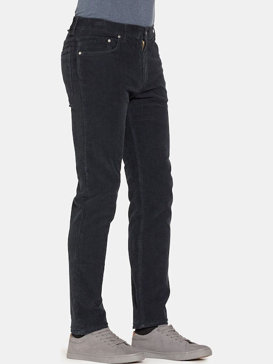 Carrera Trousers Elastic in Regular Fit Blue