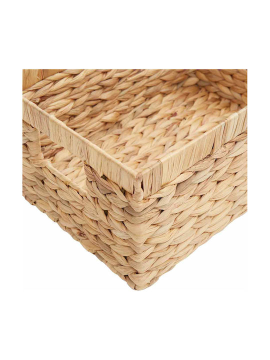 vidaXL Καλάθι Αποθήκευσης 40x30x18cm 3τμχ