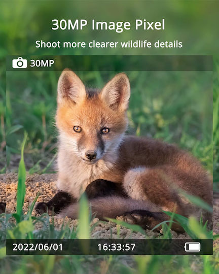 Mini 900 Pro Hunting Camera Night Vision with Motion Detection