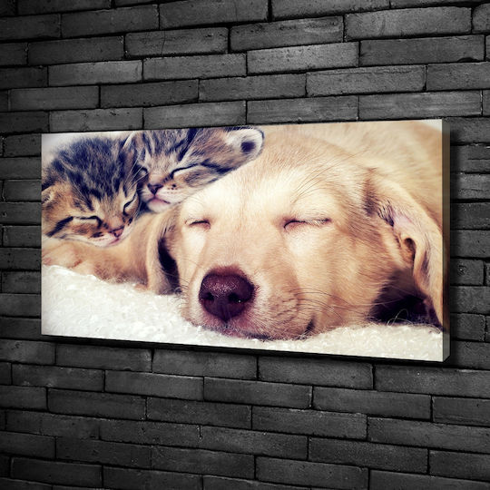 Tablou Decorativ Pânză Casă Birou Cățeluș Pisici 100x50 Cm