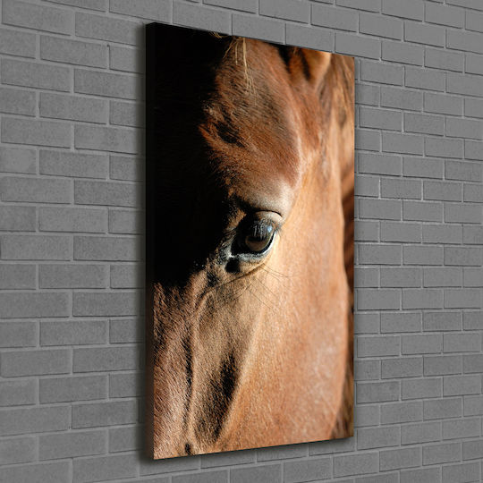 Decorative Canvas Painting Classic Or Modern Decoration Horse 60x120 Cm