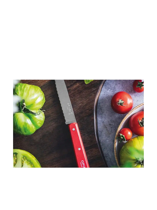 Opinel Knife General Use from Stainless Steel 10cm
