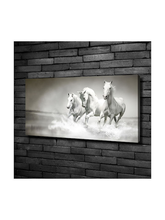 Wandbild Segeltuch Robuste Materialen Weißes Pferd 100x50 cm