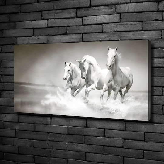 Wandbild Segeltuch Robuste Materialen Weißes Pferd 100x50 cm