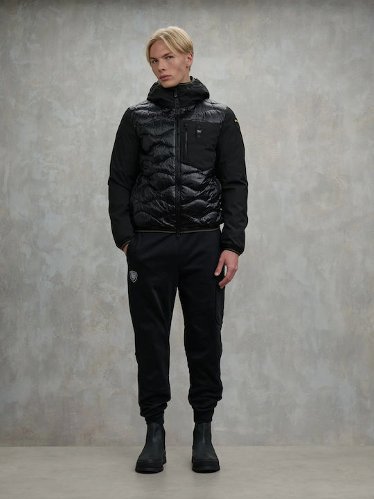Blauer