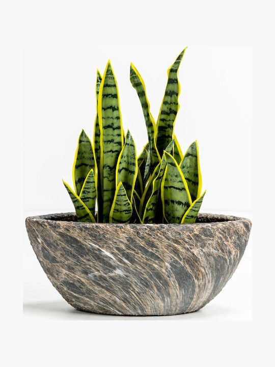 InTheBox Ghiveci Ceramică Gri