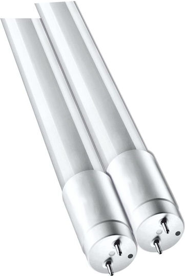 Vitus Fluorescent Lamp for Socket G13 with Shape T8 9W