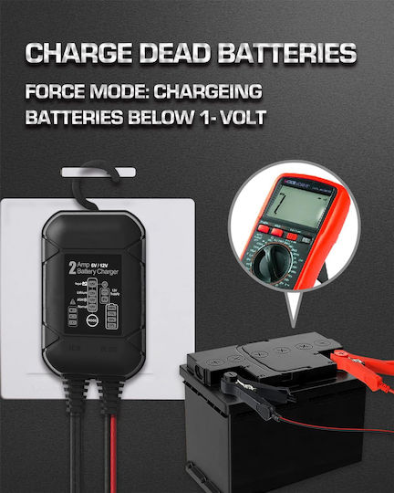 Bygd S2000 Batterieladegerät & -Wartungsgerät für Auto 6/12V 2A