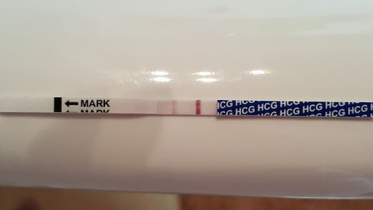 10 Ovulation Test Strips & 3 Pregnancy Test Strips
