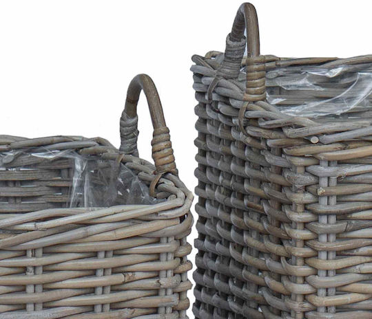 vidaXL Κασπώ Rattan Γκρι 2τμχ