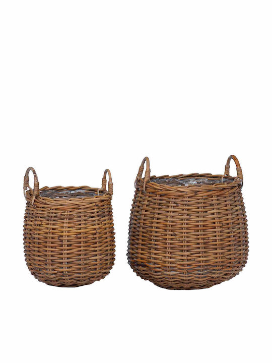vidaXL Κασπώ Rattan Καφέ 2τμχ