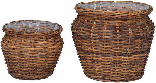 vidaXL Κασπώ Rattan Καφέ 2τμχ