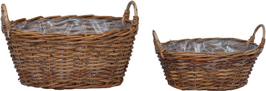 vidaXL Κασπώ Rattan Καφέ 2τμχ