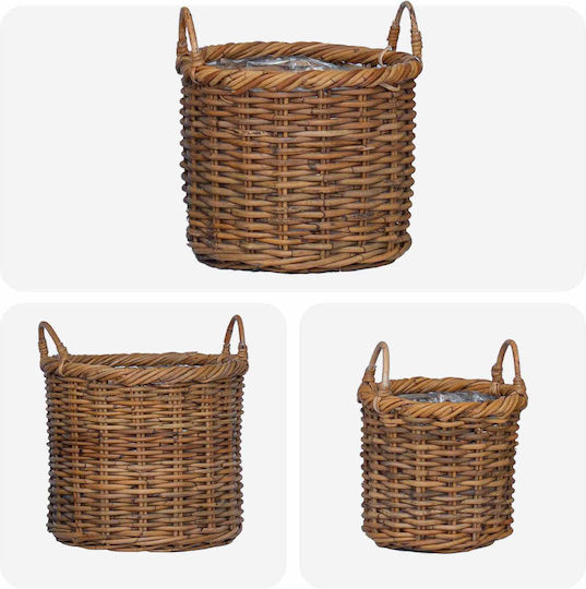 vidaXL Planter Rattan Brown