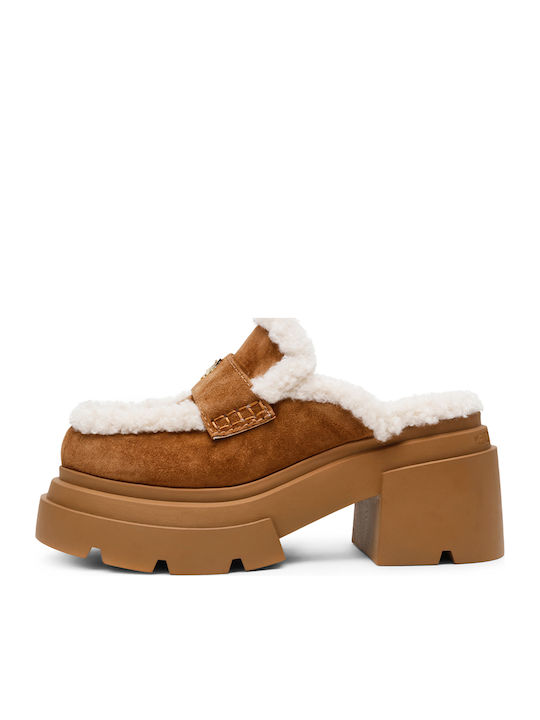 Steve Madden