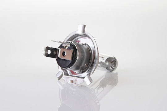 Alista Home Lămpi Autoturismului H4 / P43T Halogen 12V 55W 2buc