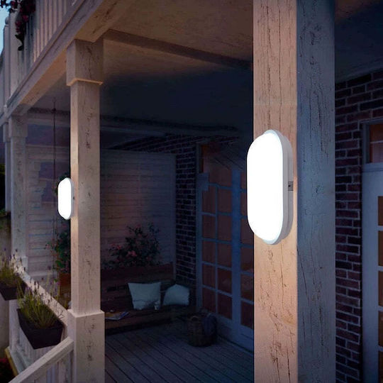 Alista Home Lumină de exterior montată pe perete LED IP65 12W