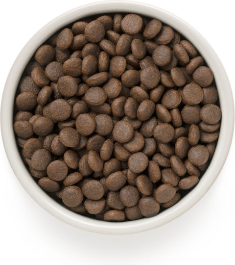 Grandorf Holistic & Hypoallergenic 1kg Ξηρά Τροφή χωρίς Γλουτένη για Ενήλικους Σκύλους Μικρόσωμων Φυλών με Γαλοπούλα, Αρνί, Πάπια και Κουνέλι