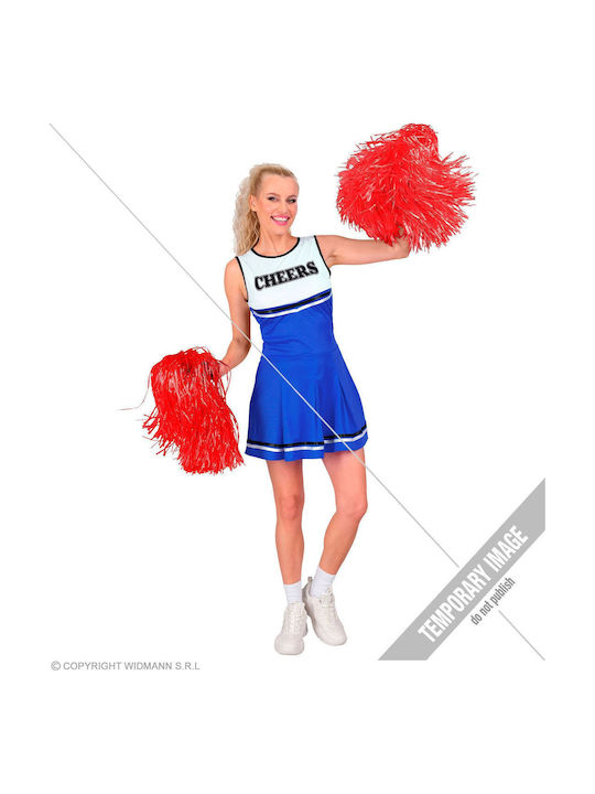 Carnival Costume Cheerleader