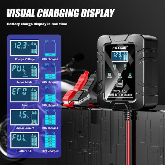 Foxsur Autobatterieladegerät 6/12V