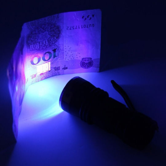 Φακός LED UV