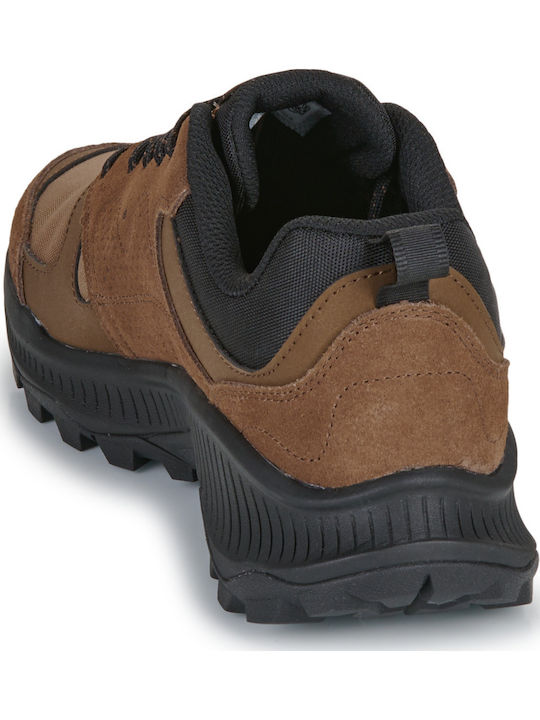 Sneakers Brown