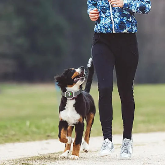 SPV Elektrisches Trainingshalsband für Hunde Anti-Bellen