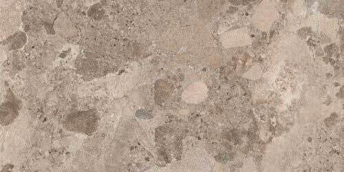 Baldocer Πλακάκι Δαπέδου Εσωτερικού Χώρου Ματ 120x60cm Bronzo